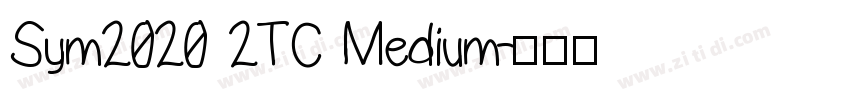 Sym2020 2TC Medium字体转换